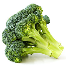 fresh-cut-broccoli